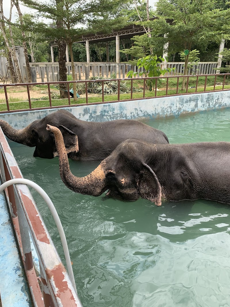 Phuket Elephant Sanctuary