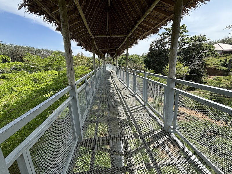 Phuket Elephant Sanctuary