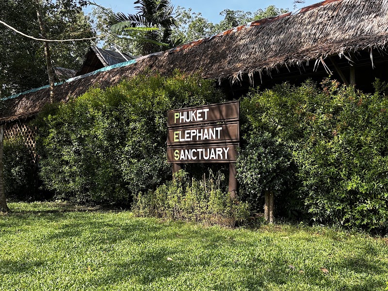 Phuket Elephant Sanctuary