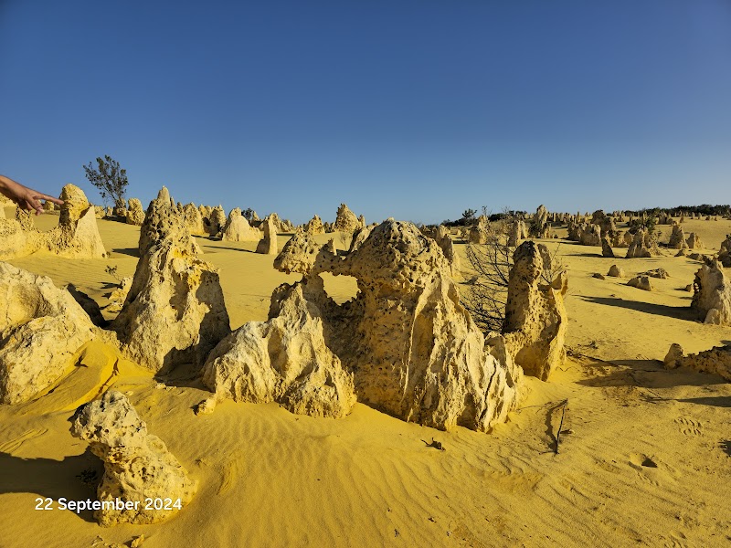 Pinnacles Desert