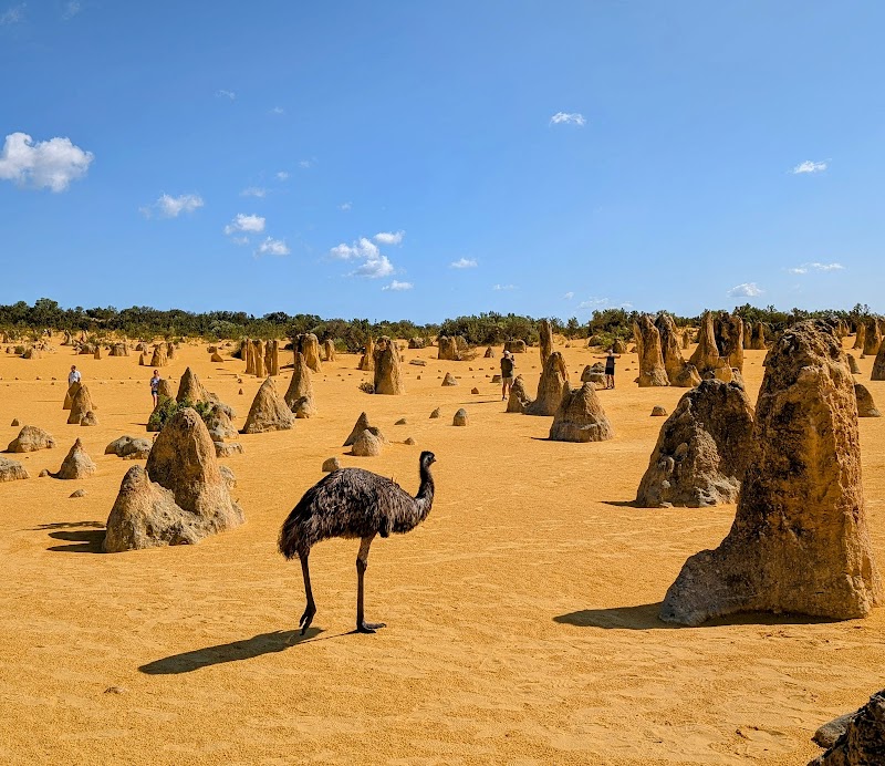Pinnacles Desert