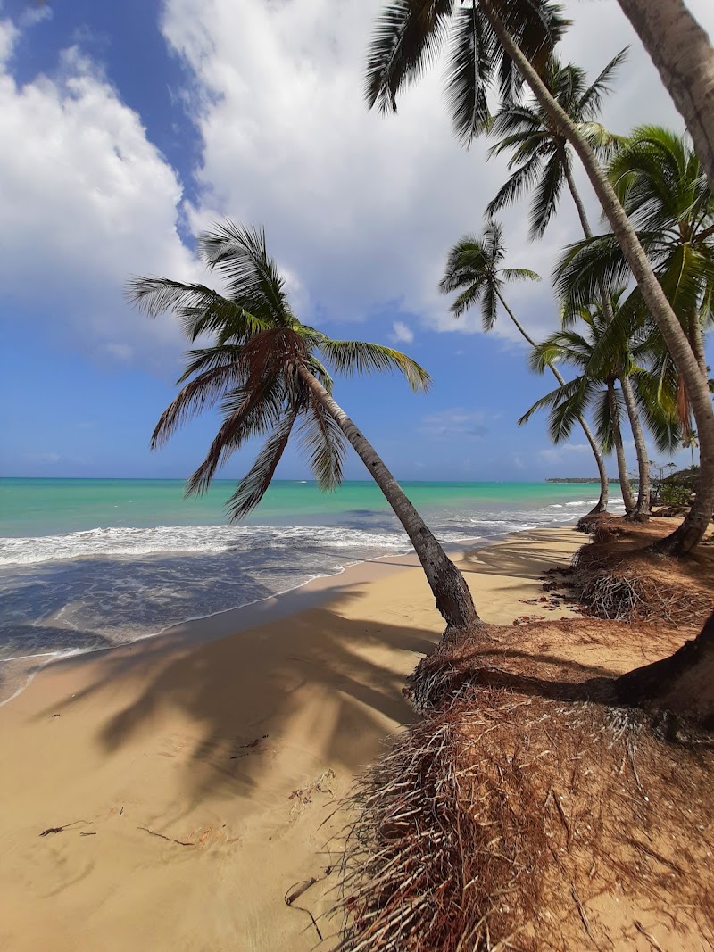 Playa Cosón