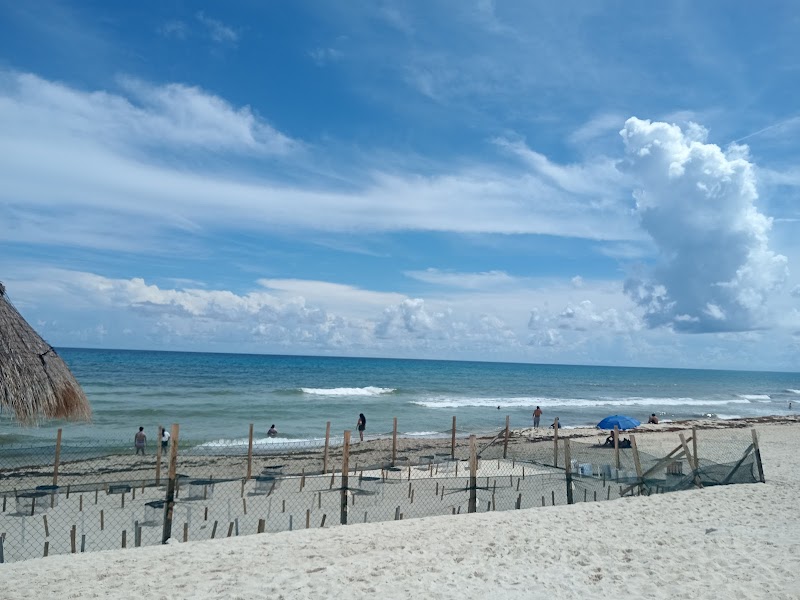 Playa Delfines