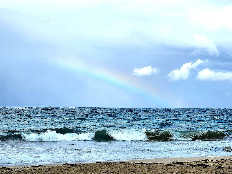 Playa Dorada
