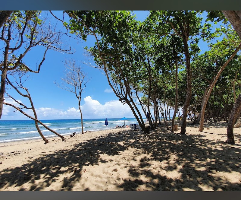 Playa Encuentro