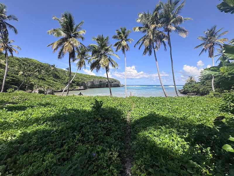 Playa Madama