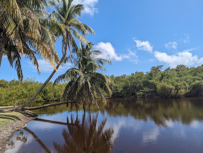 Queen Elizabeth II Botanic Park