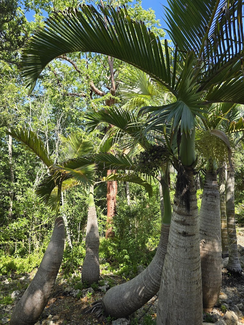 Queen Elizabeth II Botanic Park