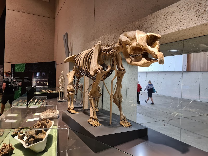 Queensland Museum & Sciencentre