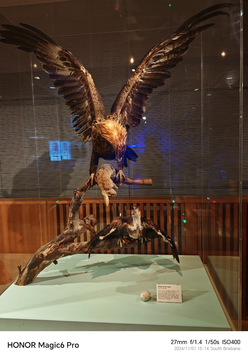 Queensland Museum & Sciencentre