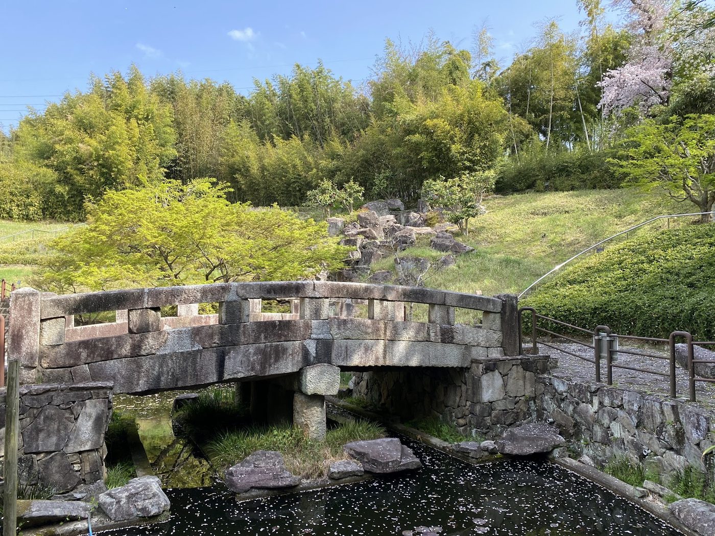 Rakusai Bamboo Park