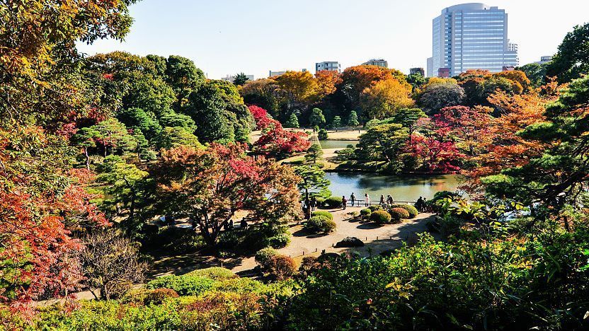 Rikugien Garden