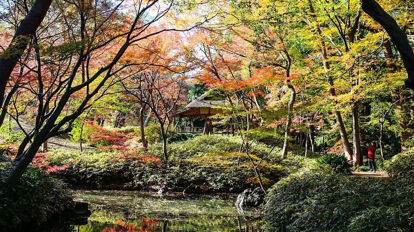 Rikugien Garden