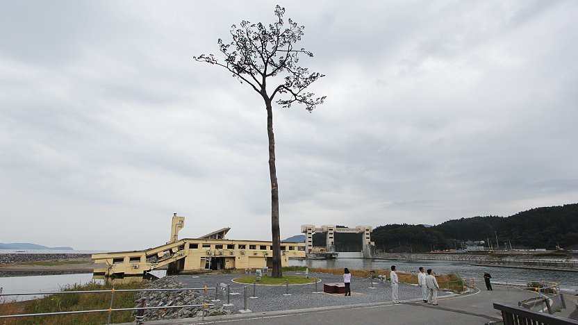 Rikuzen-Takada Miracle Pine Memorial