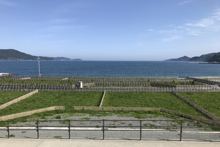 Rikuzen-Takada Miracle Pine Memorial