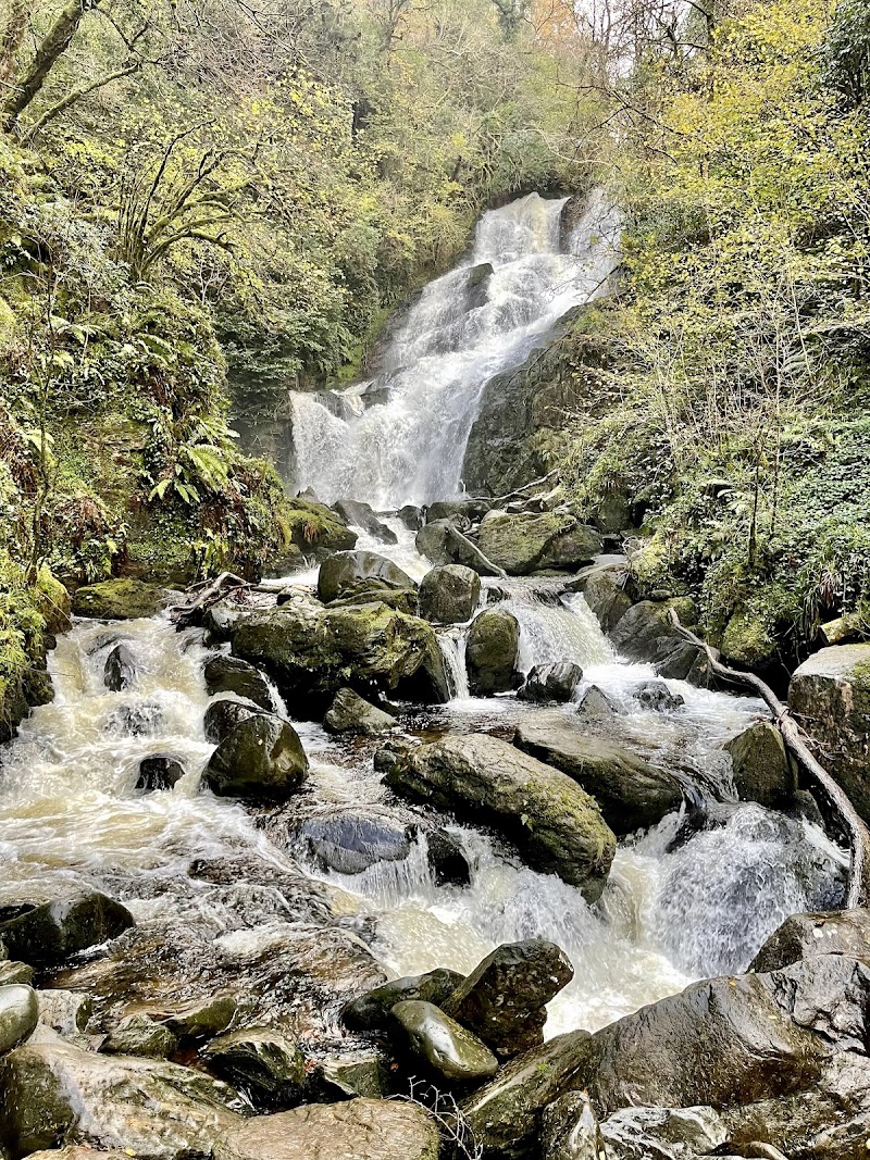 Ring of Kerry (via Killarney)