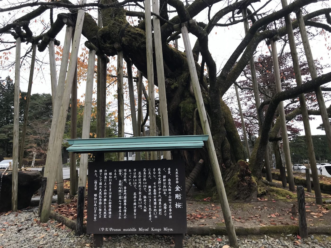 Rinno-ji Temple
