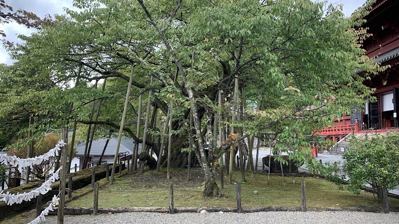 Rinnoji Temple