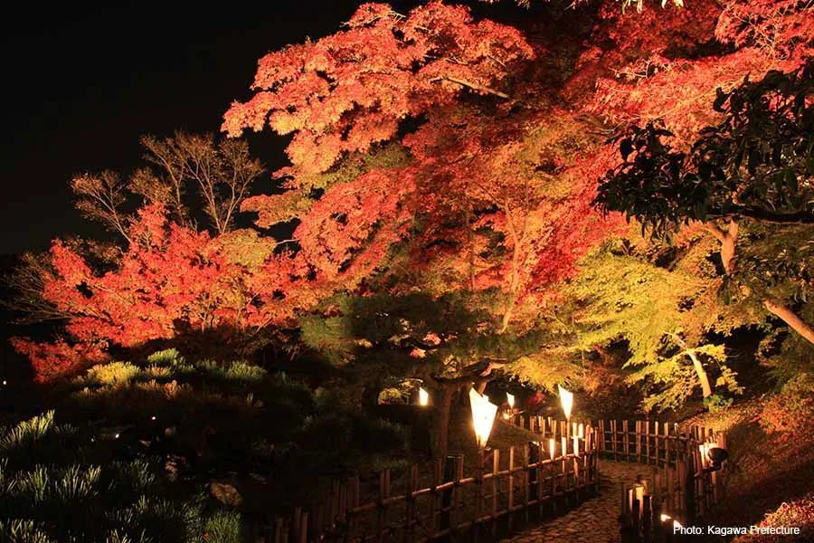 Ritsurin Garden Night Illumination