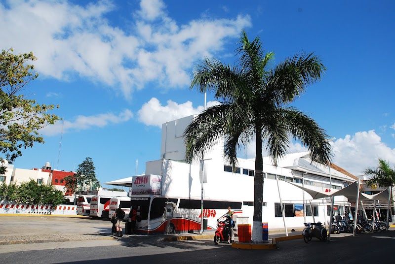 Riviera Art Gallery