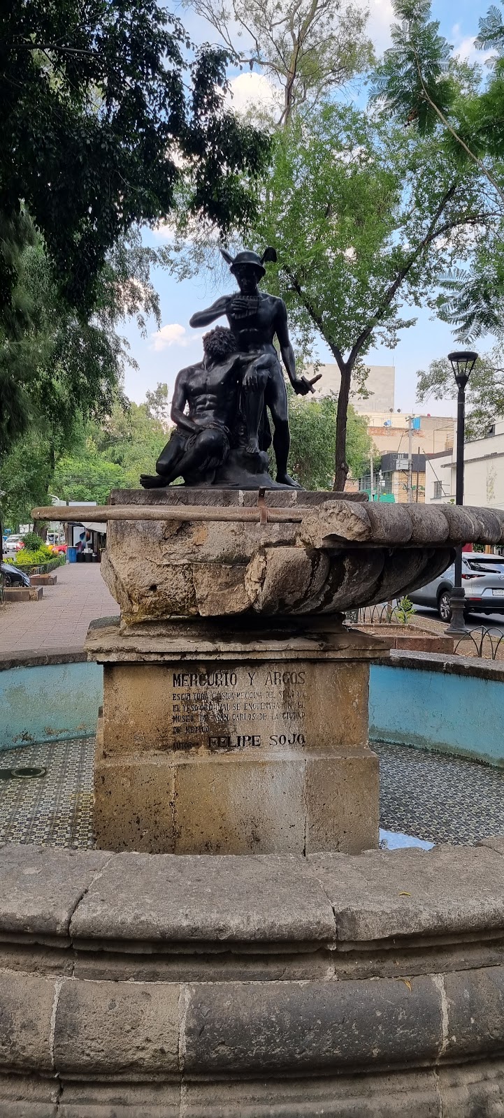 Roma & Condesa
