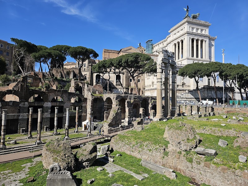 Roman Forum & Palatine Hill
