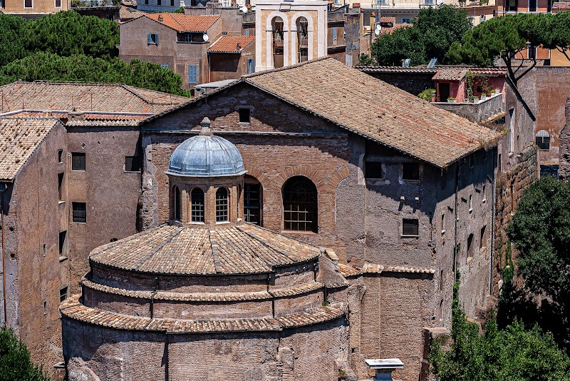 Roman Forum & Palatine Hill