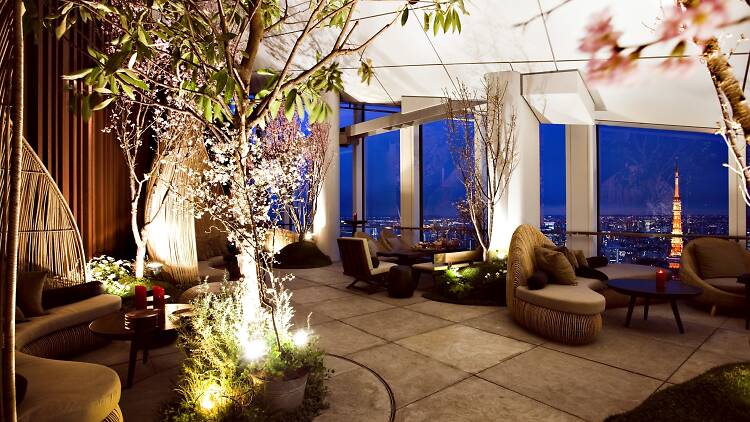 Rooftop Bars