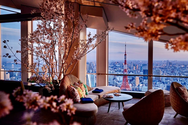 Rooftop Bars