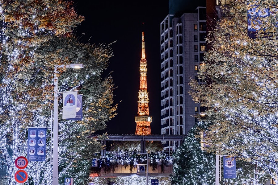 Roppongi Hills Illumination