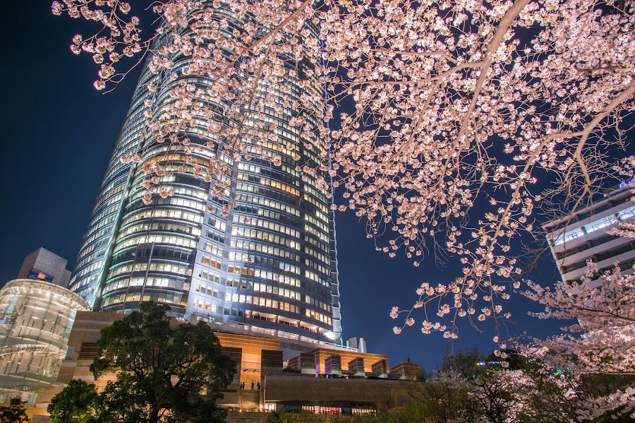 Roppongi Hills Mori Garden