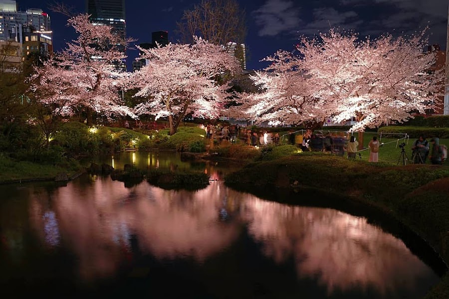 Roppongi Hills Mori Garden