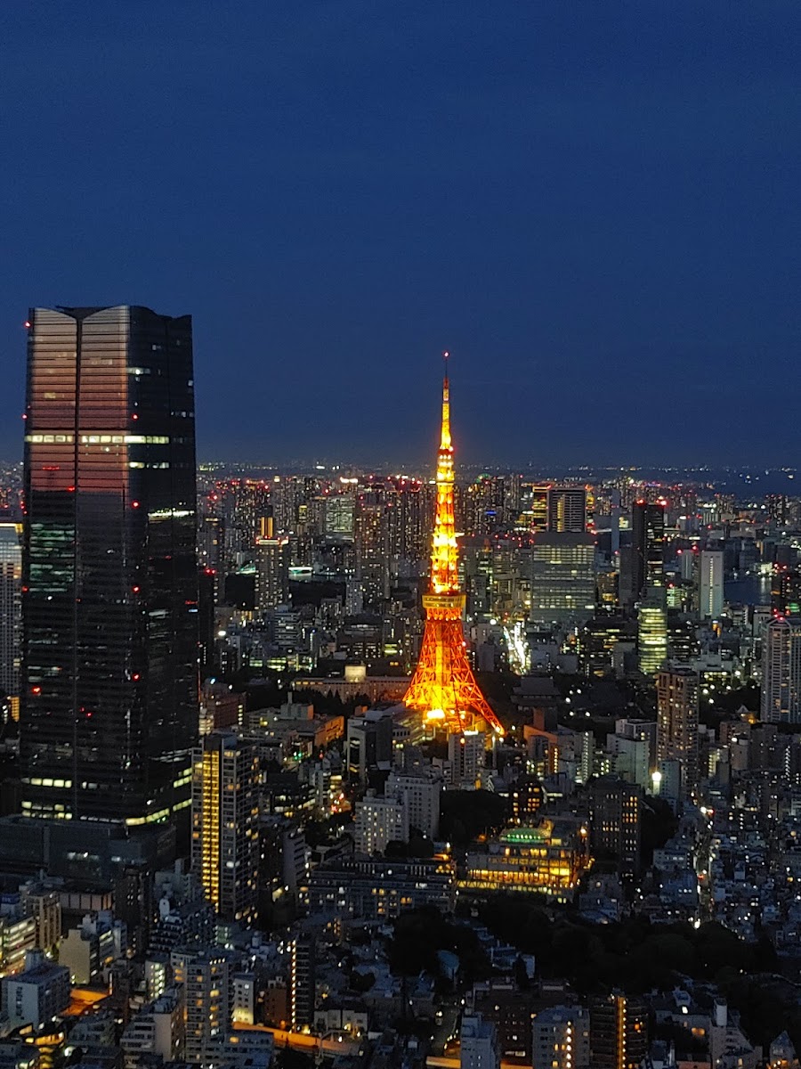 Roppongi Hills Observatory
