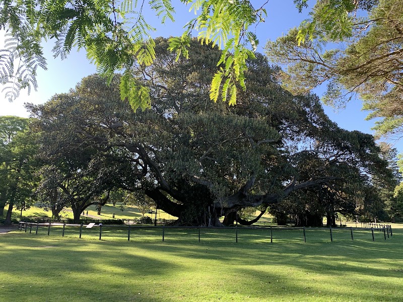 Royal Botanic Garden