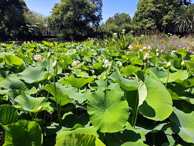 Royal Botanic Gardens