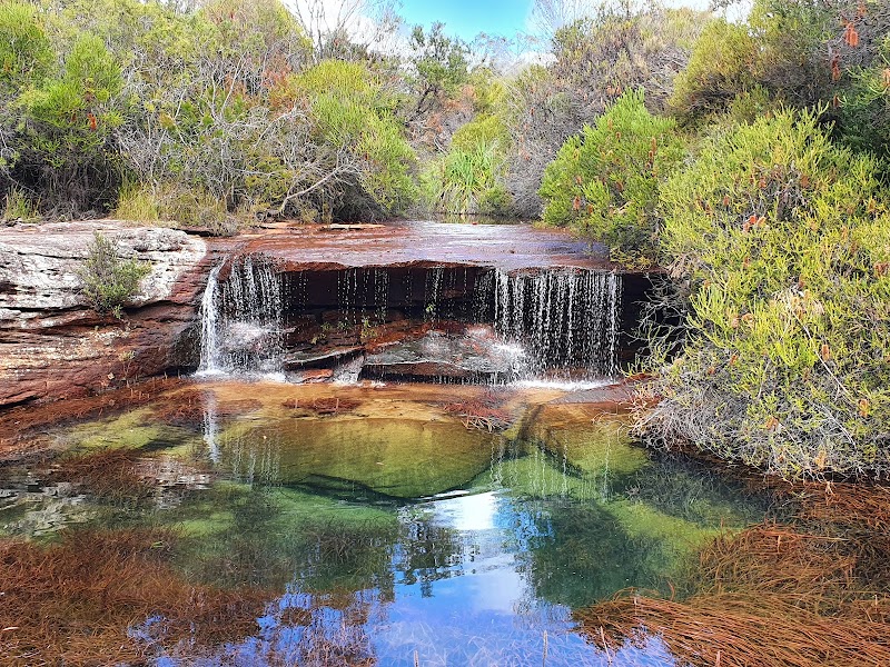 Royal National Park
