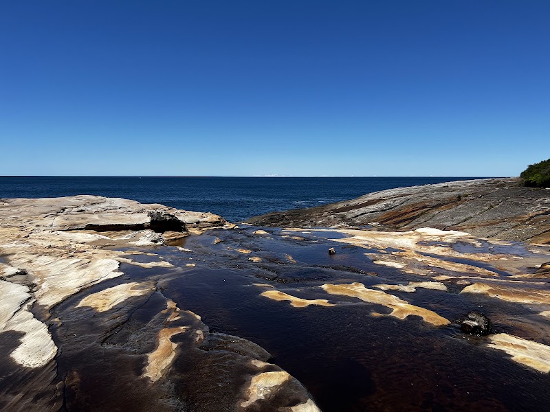 Royal National Park
