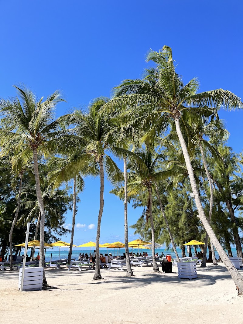 Rum Point