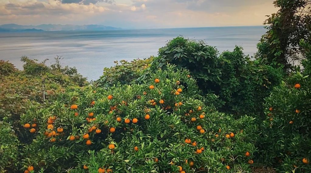 Sadamisaki Peninsula