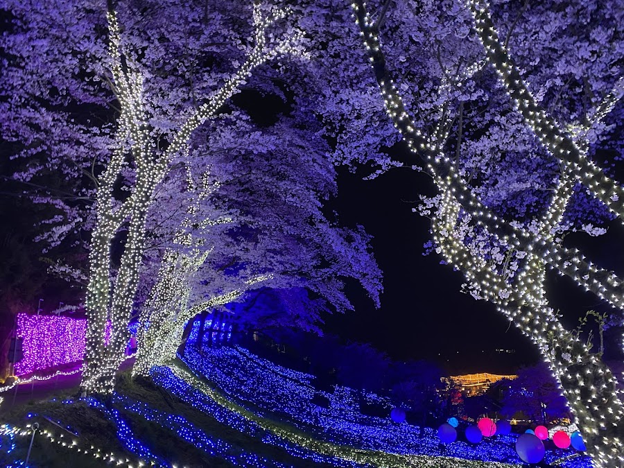Sagamiko Resort Pleasure Forest