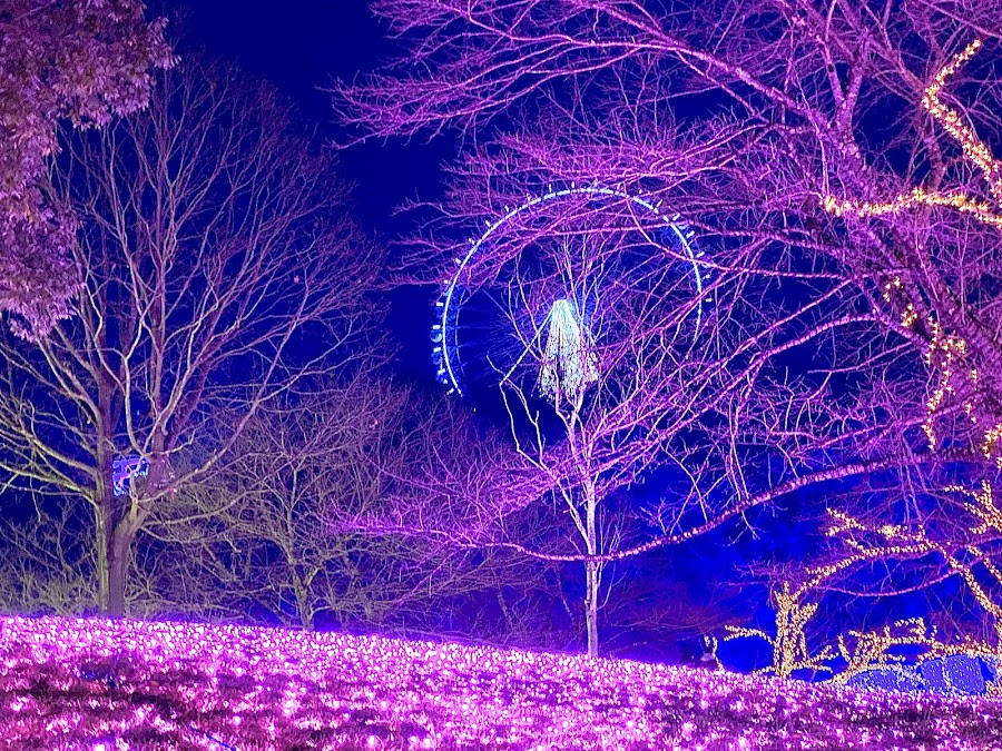 Sagamiko Resort Pleasure Forest