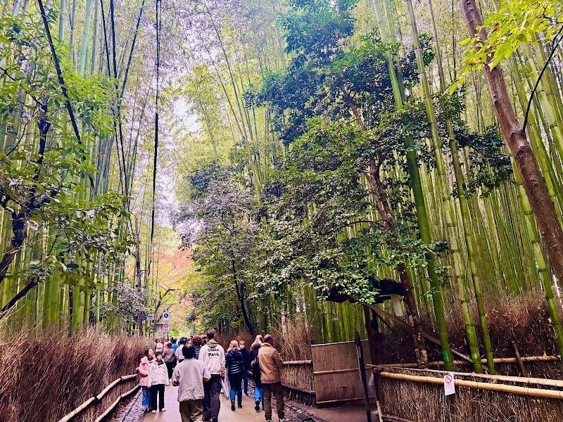 Sagano Bamboo Path