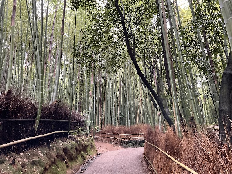 Sagano Bamboo Path
