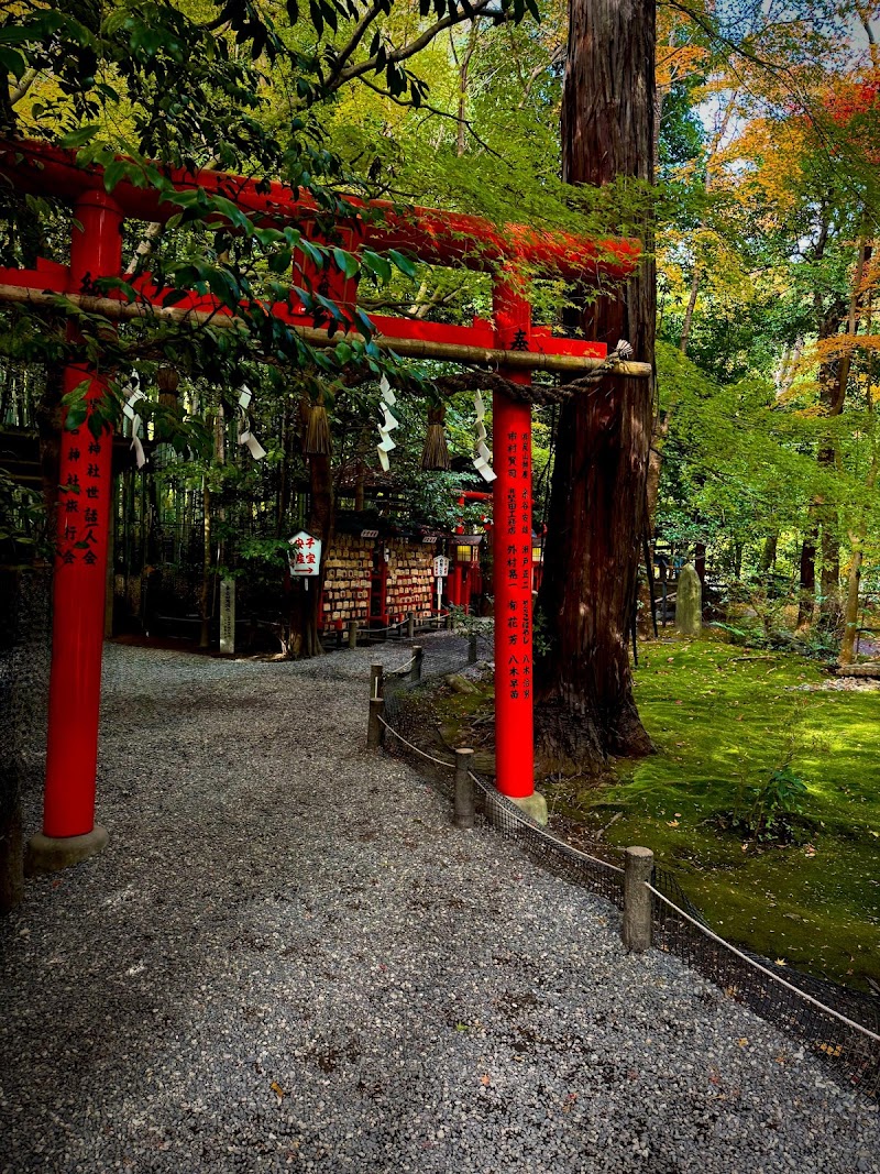 Sagano Bamboo Path