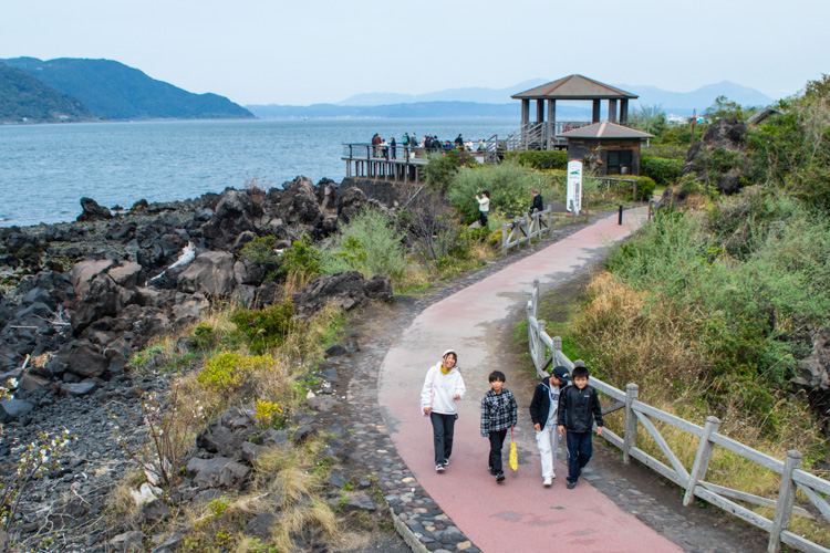 Sakurajima Lava Trail