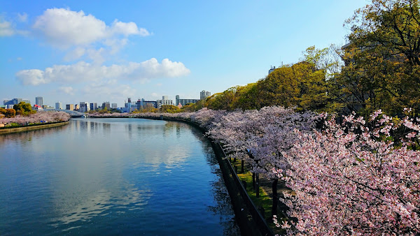 Sakuranomiya Park