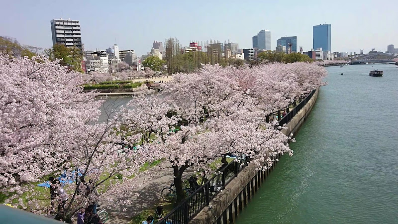 Sakuranomiya Park