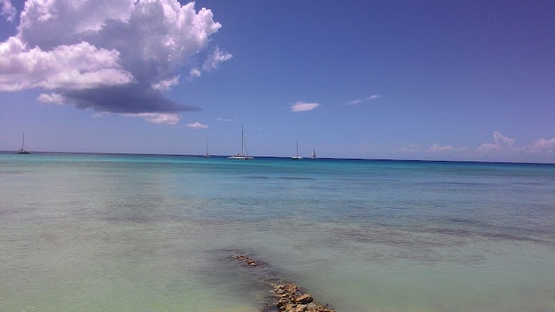 Saona Island