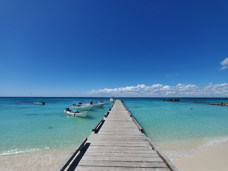 Saona Island