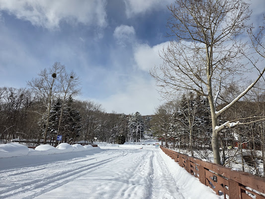 Sapporo Art Park